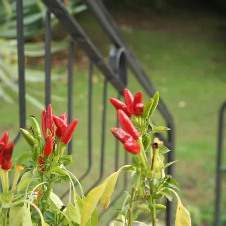 Apartamento Dei Fiori