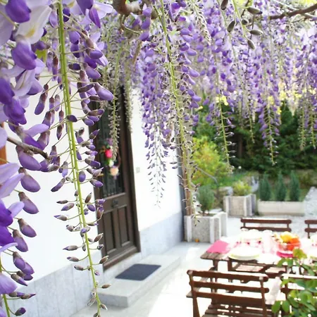 Apartament Dei Fiori *