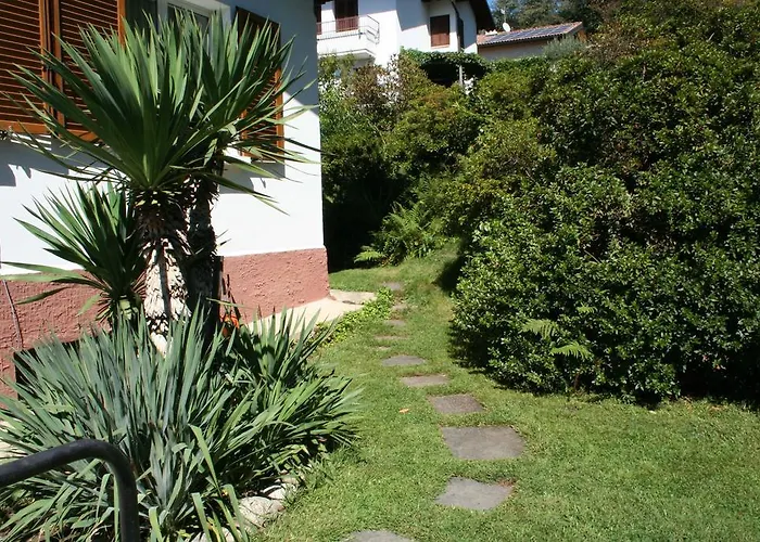 Dei Fiori لووِنو