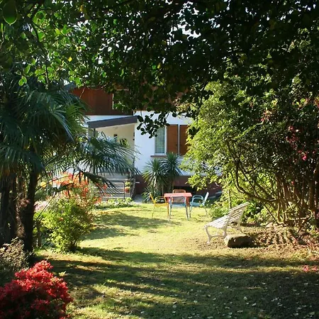 Dei Fiori